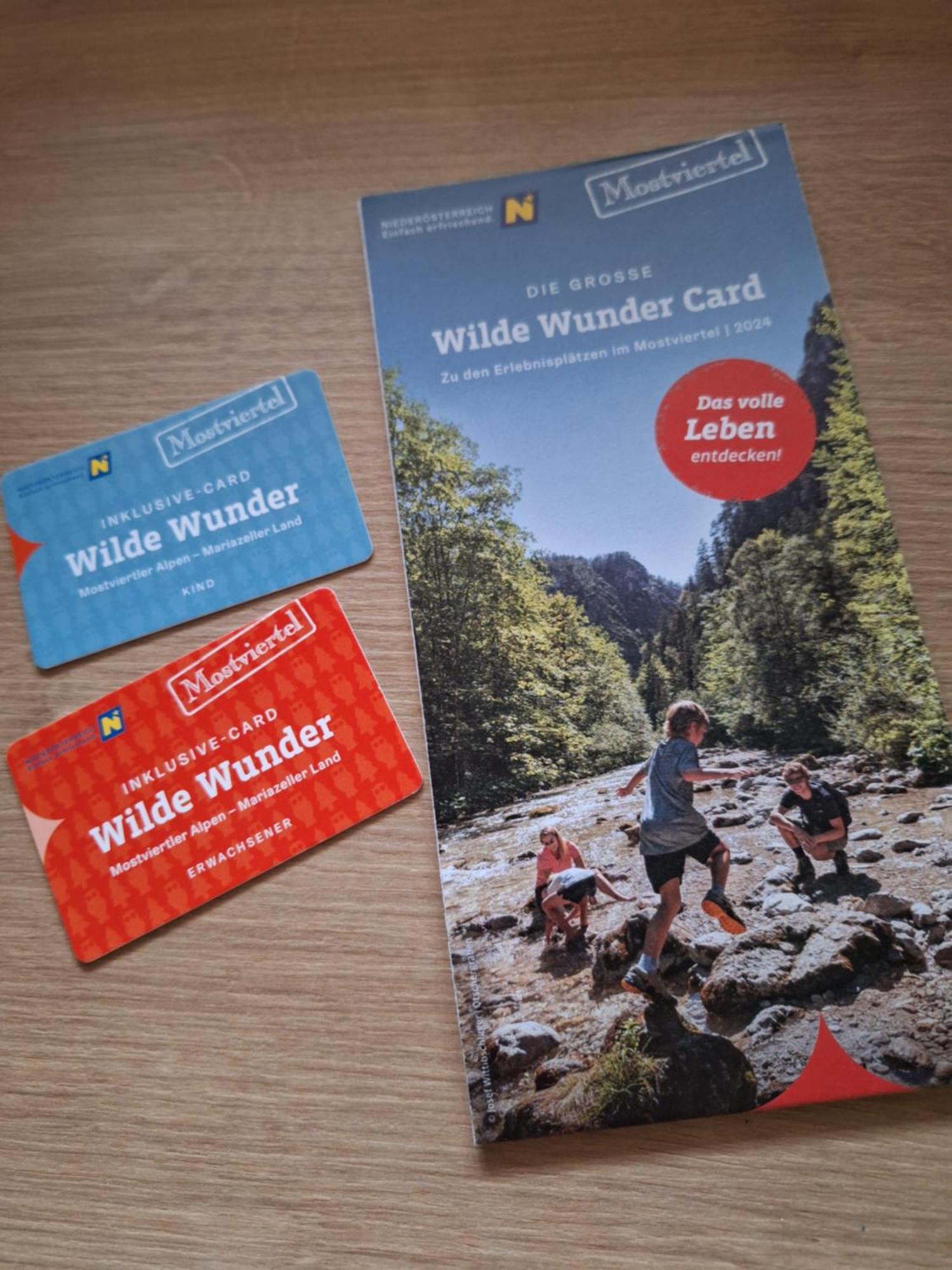 Oetscherblick Fam Winter Frankenfels Luaran gambar