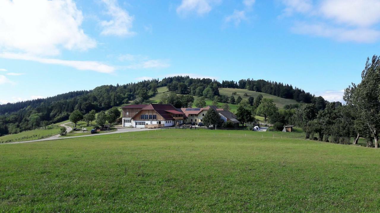 Oetscherblick Fam Winter Frankenfels Luaran gambar